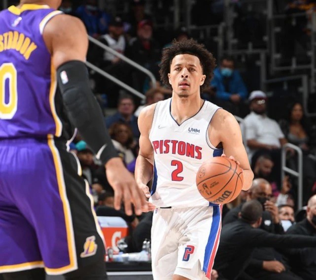 的视觉盛宴 的视觉盛宴