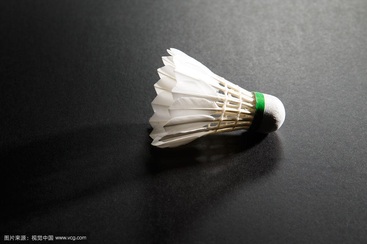 型與重建 型與重建