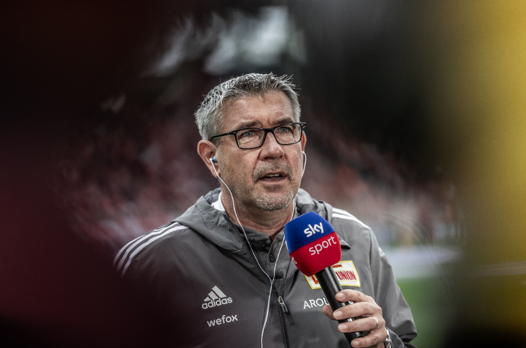 的组织与调 的组织与调