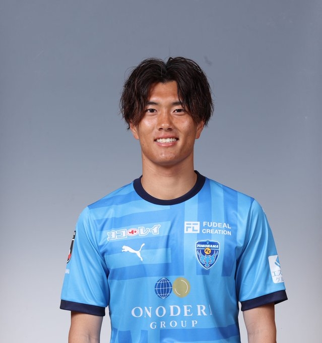 毛球的竞争 毛球的竞争